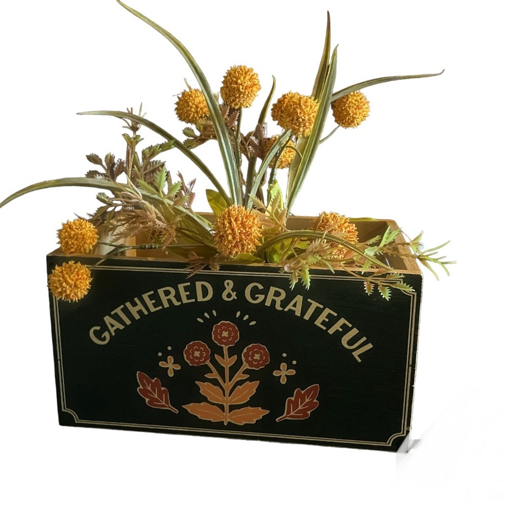 NWT-CELEBRATE TOGETHER,Wood Crate withOrange Billy Button Potted Plant,Mainstays